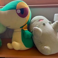 はた (@enke05) 's Twitter Profile