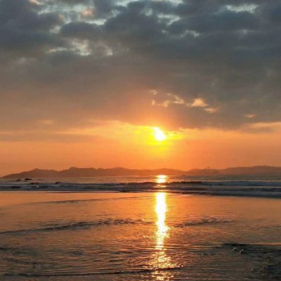 FdzzAlicia625's profile picture. 