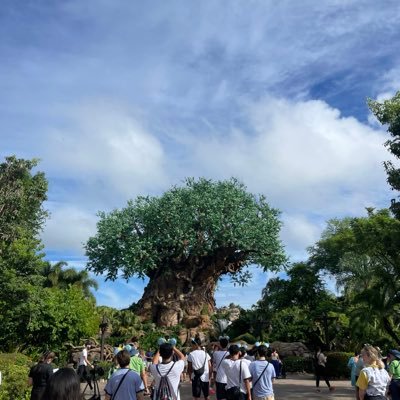 Mtg9aqKPCJfID0f's profile picture. 