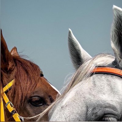 zaibun_nsa's profile picture. - an old soul in a modern world