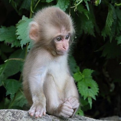 nosequien3331's profile picture. 