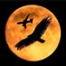 Donald Trump Is Jesus Christ (@tztz480305) Twitter profile photo Donald Trump Is Jesus Christ (@tztz480305) Twitter profile photo