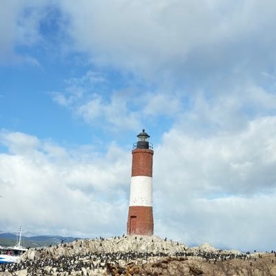 fajingh's profile picture. 