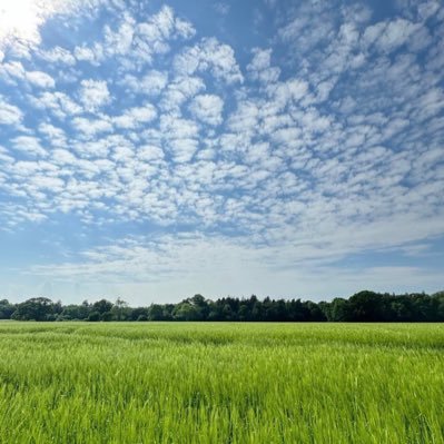Live Weather News,Stories and Updates for Kildare/Greater Dublin Area. Est 2009. Facebook, Twitter and Instagram. Ireland.