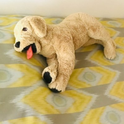 ut__uta's profile picture. 