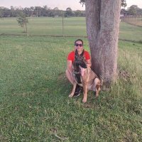 Deysi López (@deysilop2176) 's Twitter Profile