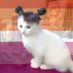 Jupiter 🧡🩷 (@2ndleftdrawer) Twitter profile photo Jupiter 🧡🩷 (@2ndleftdrawer) Twitter profile photo
