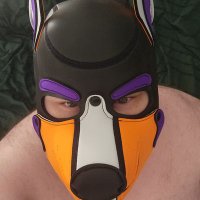Desto Puppo (@destoad) 's Twitter Profile