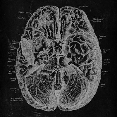 nueverf's profile picture. j'aide les agences, coachs et consultants à signer des clients grâce à YouTube