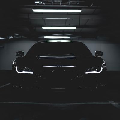 Xon186's profile picture. Let's grow toghter