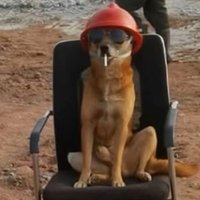 G hã (@jeanc_19) 's Twitter Profile