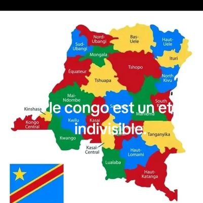 SylvainMucina's profile picture. La médecine et la politique