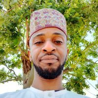 Abdulhamid (@abdulhamid747) 's Twitter Profile