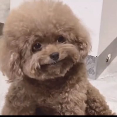 0vMda40xdb87227's profile picture. 