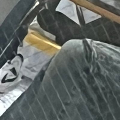 cjsocool556's profile picture. yoo