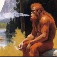 sra zé colmeia (@lrssa06) 's Twitter Profile