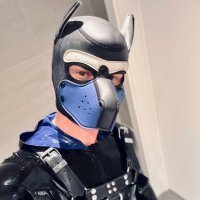 Cobi ๐พ (@pupcobi) 's Twitter Profile Photo Cobi ๐พ (@pupcobi) 's Twitter Profile Photo
