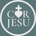 Cor Jesu Press 📚 (@corjesupress) Twitter profile photo Cor Jesu Press 📚 (@corjesupress) Twitter profile photo