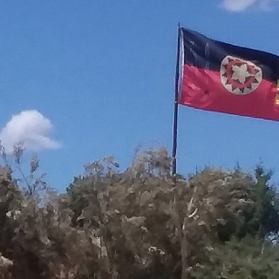FLAG OF MY COUNTRY. Díneh bí'Keyah. Not 