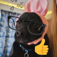 meka (@mekaisntreal) 's Twitter Profile Photo meka (@mekaisntreal) 's Twitter Profile Photo