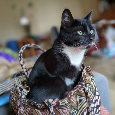 BaerbelLaeger's profile picture. Leben und leben lassen. Meinungen akzeptieren und diskutieren - aber niemand in Schubladen stecken. Ach ich träume schon wieder 💭🚬🫂 💫 🩵
Morbus Ormond