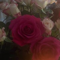 kjt1084 (@kjt1084) 's Twitter Profile Photo kjt1084 (@kjt1084) 's Twitter Profile Photo