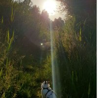 Udrie (@udrie4) 's Twitter Profile