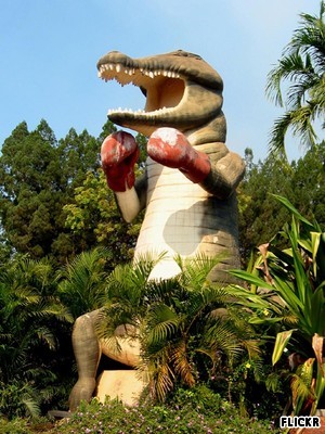 FranKeaney's profile picture. Big ideas