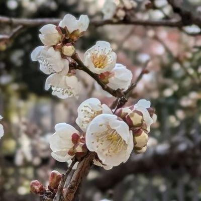 ミスコンを応援してます。
投票の報告はしません…
時間差でリプします🙇
⚠️フォローしてる方様以外のフォローは🙅禁止🙅🧱します😊