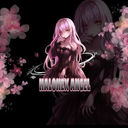 Halohex22's profile picture. "dark beauty with a soft heart-the lost angel of the virtual world"💫🖤