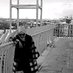 Gulazer65 (@gulazer65) Twitter profile photo Gulazer65 (@gulazer65) Twitter profile photo