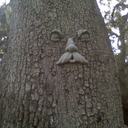 craig barkley - @abyss_bcr - Twitter