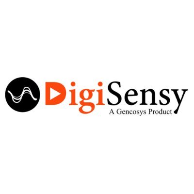 DigiSensy's profile picture. At DigiSensy, we are not just a digital marketing agency; we are your partners in unlocking the true potential of your online presence. #SEO #PPC #SMM #SMO etc.