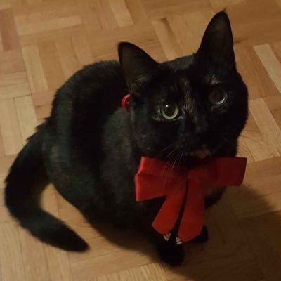 skipableSB's profile picture. U shouldn’t be here ⋰˚☆.