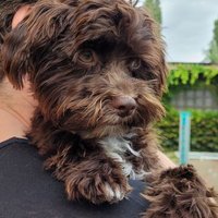 SteffMeff (@meffsteff) 's Twitter Profile