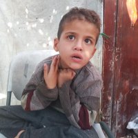 Hala 🇵🇸 (@em_mustafa1) 's Twitter Profile