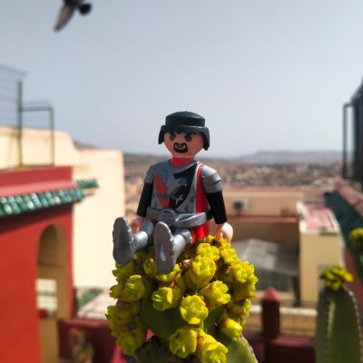 🏳️🌈 28 ✨ VLC. Sí, me gusta er furbo sorry. Los videojuegos también me chiflan, y una buena cerveza en un terracita ya es 👌