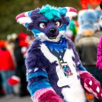 Zumiiiee ๐ณ๏ธโ๐โญ๏ธ๐EF (@zumiefox) 's Twitter Profile
