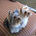 Bill1865 - @BillBasil1865 - Twitter