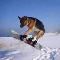 😴💤 (@christiannurf) 's Twitter Profile Photo