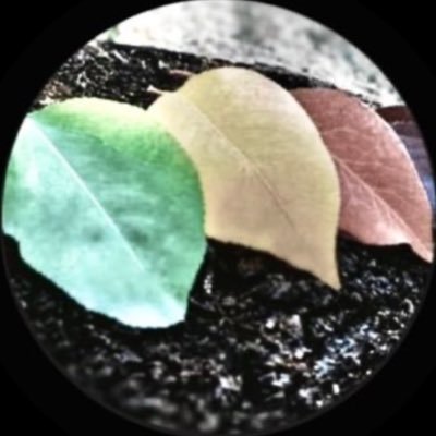 U1100000's profile picture. الحساب الثاني