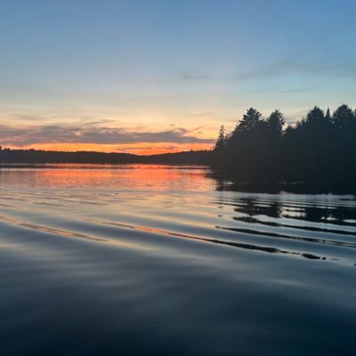 mimikittycat's profile picture. 