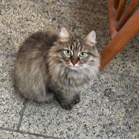 Nothing I'm (@nothing__iam) Twitter profile photo