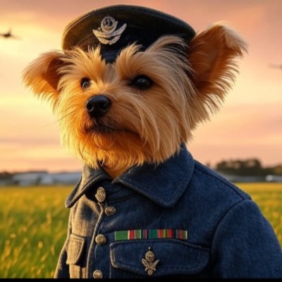 Patriot. Londoner. Islingtonian. Gooner. Yorkie Lover. Pureblood. Awake not Woke. Lover not Fighter. MAGA. Retweets not an endorsement.