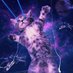 Rover (@chokonot3) Twitter profile photo Rover (@chokonot3) Twitter profile photo