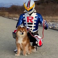 勇気の戦士ナスライガー (@nasunogaharayn) 's Twitter Profile