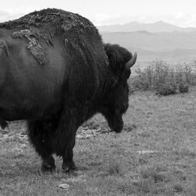 JMac69865961's profile picture. 