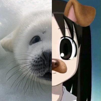 pinnipedonline's profile picture. ough #sealtwt | on hiatus