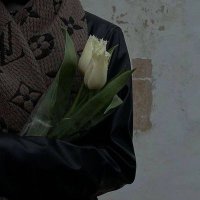 آية أحمد (@aaya__a7med) Twitter profile photo