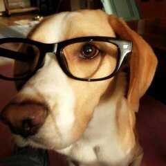 うつ病の治療を続けながら居宅介護支援事業所でケアマネをしています📙
お豆腐メンタルですが、皆様どうぞよろしくお願い致します🙏
ふわっちで配信しています。
よかったら、遊びに来て下さい😊
https://t.co/CEE0NWWd2x